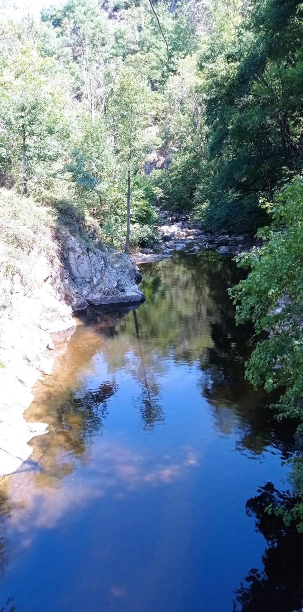 Au Fil De L' Eau Lejlighed Aurec-Sur-Loire Eksteriør billede
